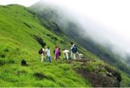 Mysore to Wayanad Adventure Tour Package – 2 Nights-3 Days