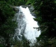 Cochin (Kochi, Ernakulam) Wayanad Waterfalls Tour Package 2 Nights- 3 Days