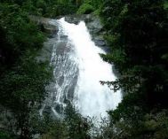 Cochin (Kochi, Ernakulam) Wayanad Honeymoon Tour Package 2 Nights- 3 Days