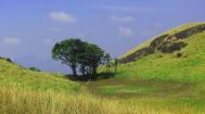 Karapuzha Dam