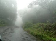 Chennai to Wayanad Tour Package-1 Night -2 Days