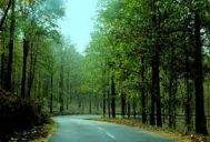 Bangalore to Wayanad Students Tour Package 2 Nights- 3 Days