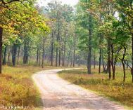Chennai to Wayanad Old Age Tour Package 2 Nights-3 Days
