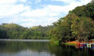 Ernakulam (Cochin,Kochi) Wayanad Tour Package 1 Night/ 2 Days