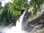 Cochin (Kochi, Ernakulam) Wayanad Waterfalls Tour Package 2 Nights- 3 Days