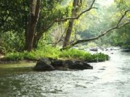 Kozhikode (Calicut) Wayanad Leisure Tour Package 2 Nights-3 Days