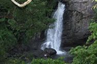 Kalpetta to Wayanad Waterfall Tour Package 2 Nights-3 Days