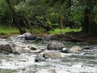 Calicut (Kozhikode) Wayanad Group Tour Package