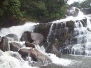 Chennai to Wayanad Waterfall Tour Package 2 Nights-3 Days